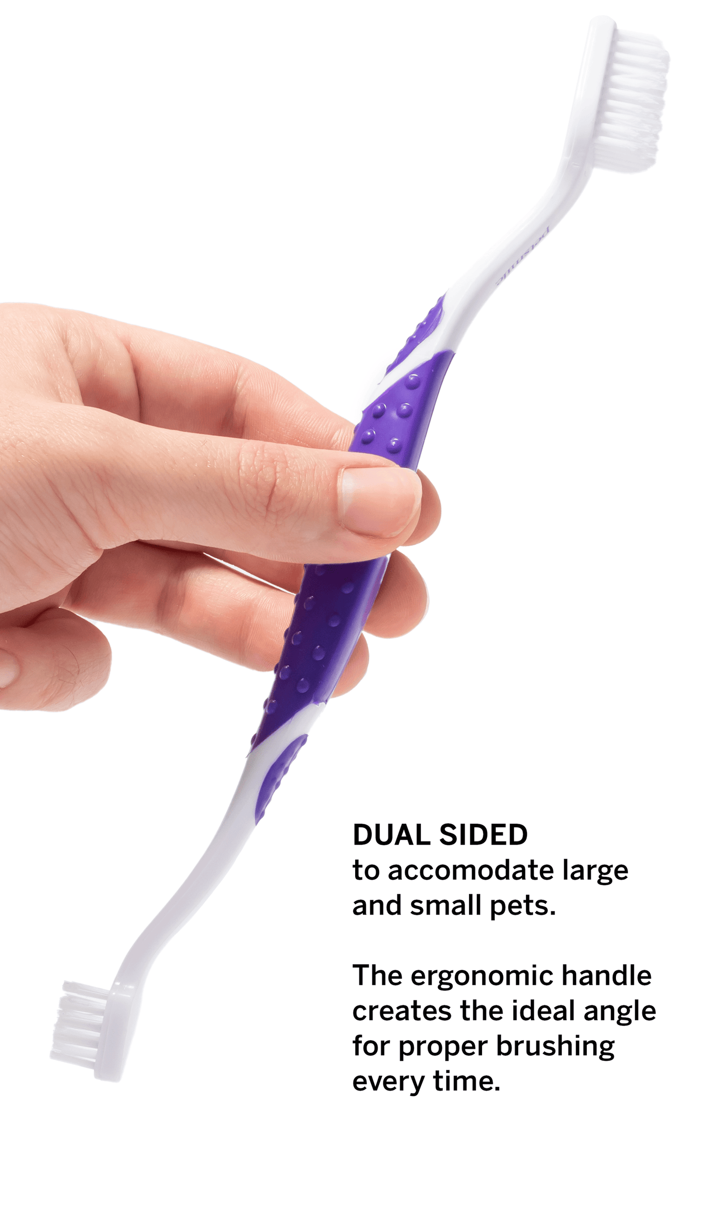Petsmile Professional Pet Toothbrush with 45-Degree Dual-Ended Design