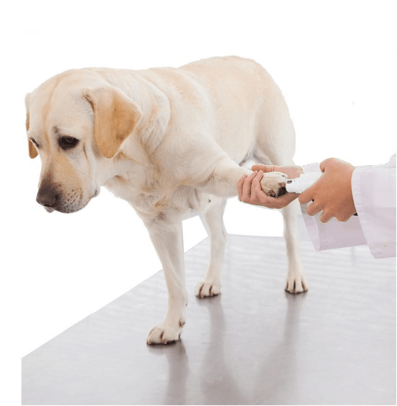 Pawperfect Pet Nail Care System: The Stress-Free Solution For Happy