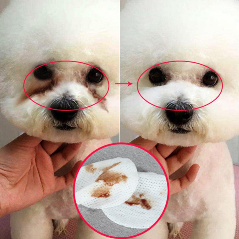 Radiantpaws Tear Stain Eliminator: Pet Eye Grooming Wipes For Dogs And