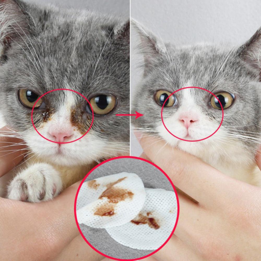 Radiantpaws Tear Stain Eliminator: Pet Eye Grooming Wipes For Dogs And