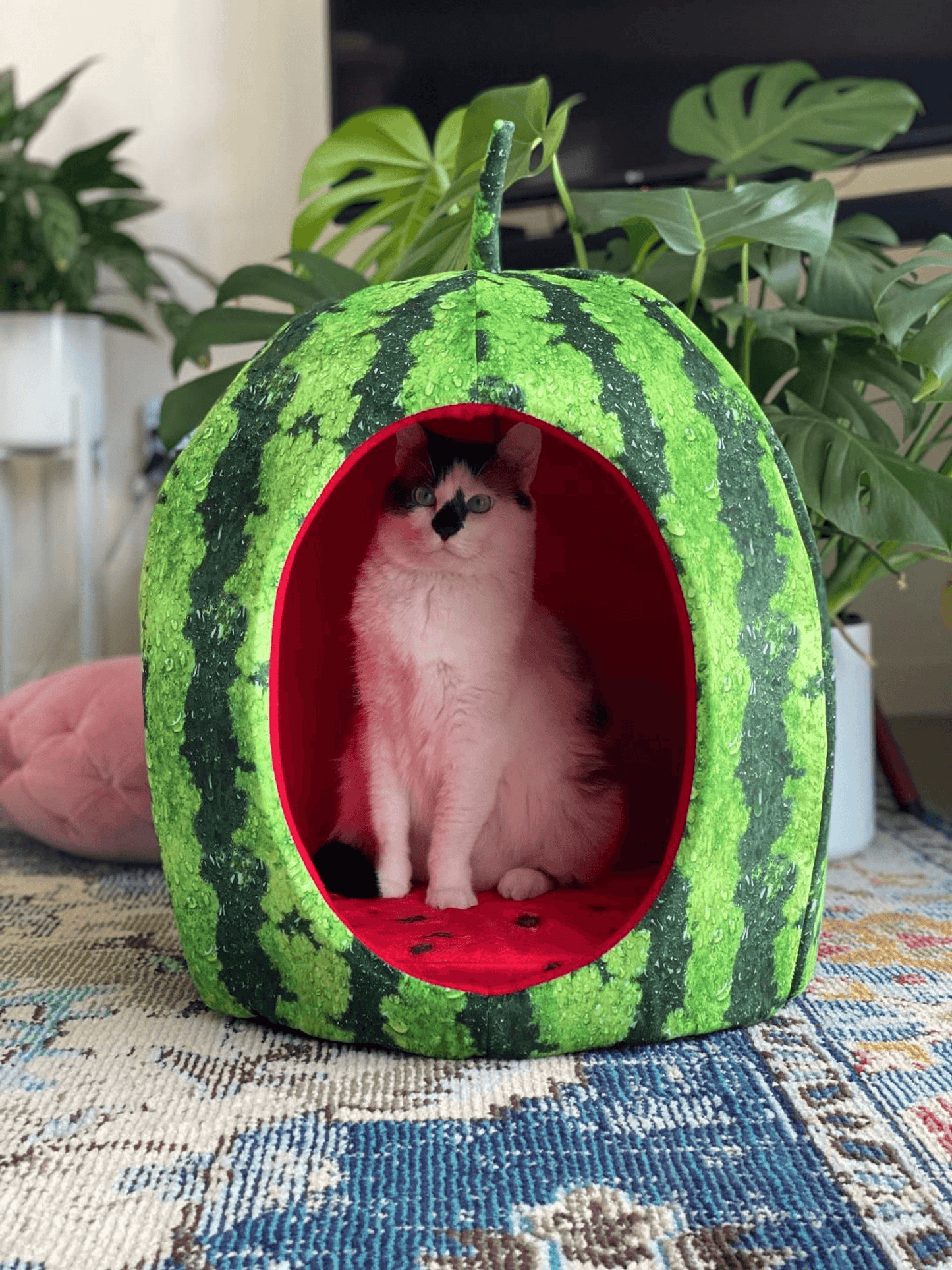 YML Watermelon-Themed Cozy Pet Bed House
