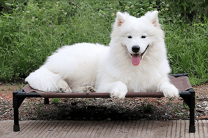 Luxury Breathable Pet Bed With Moisture-Proof Oxford Cloth And