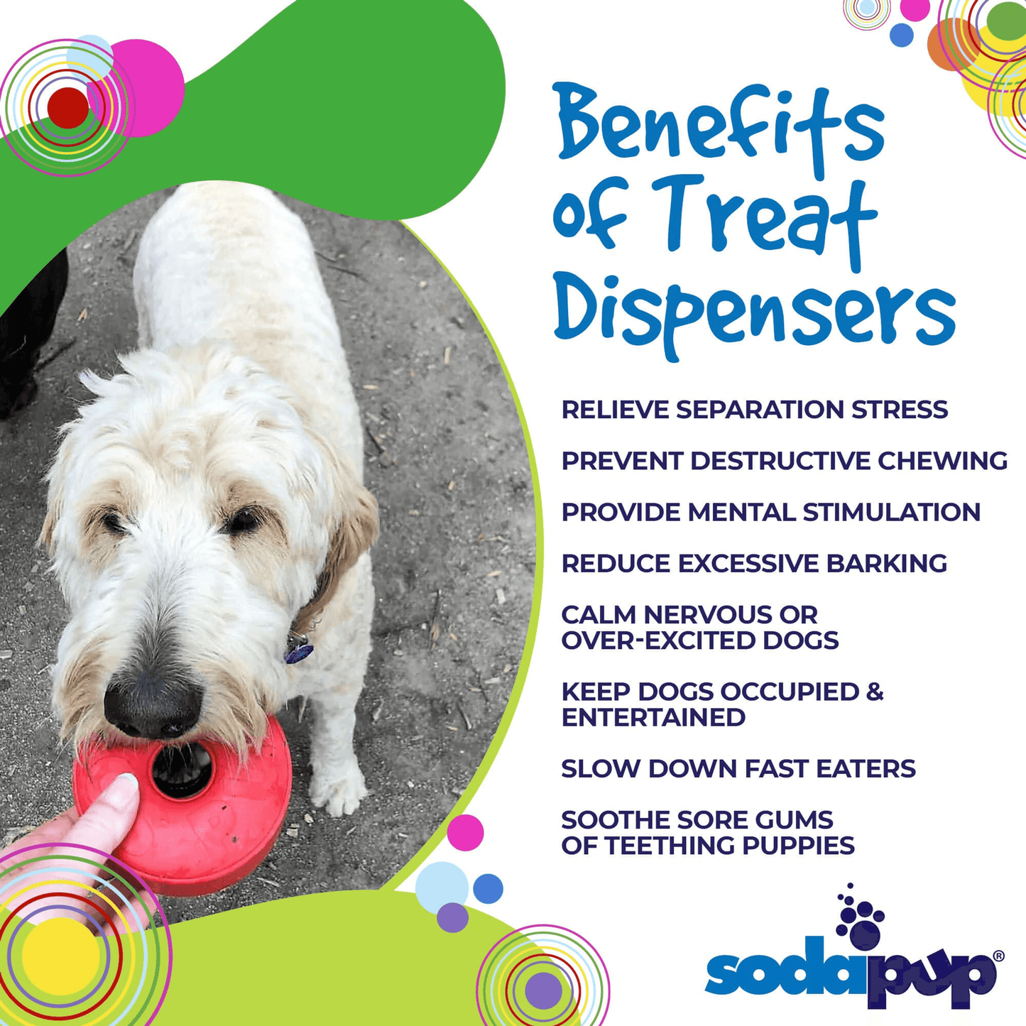 SP Life Ring Durable Rubber Chew Toy and Treat Dispenser for Dogs
