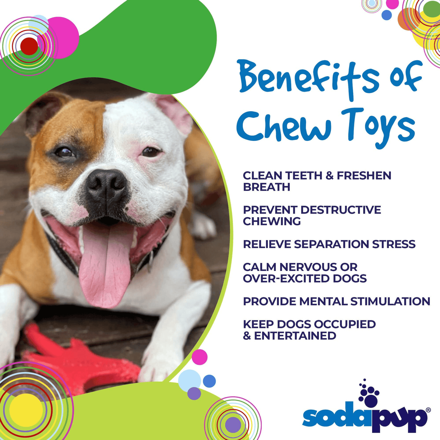 Ultra-Durable Nylon Electric Guitar Chew Toy for Aggressive Dogs
