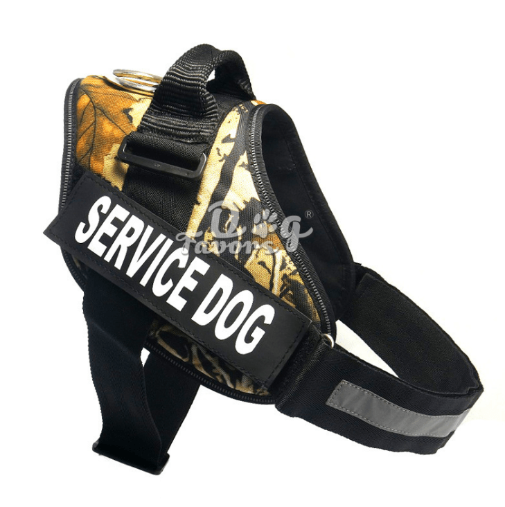 Scientific Comfort Dog Chest Strap: The Ultimate Solution For Health