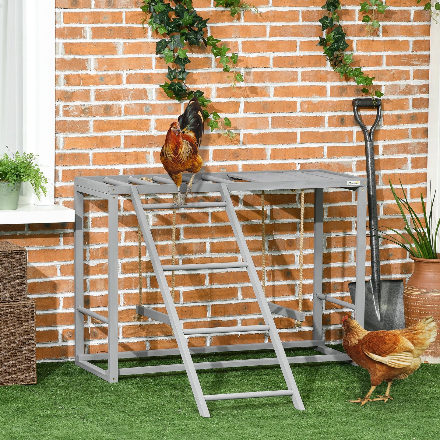 Chicken Activity Game With Swing Set For 3-4 Birds, Wooden Chicken