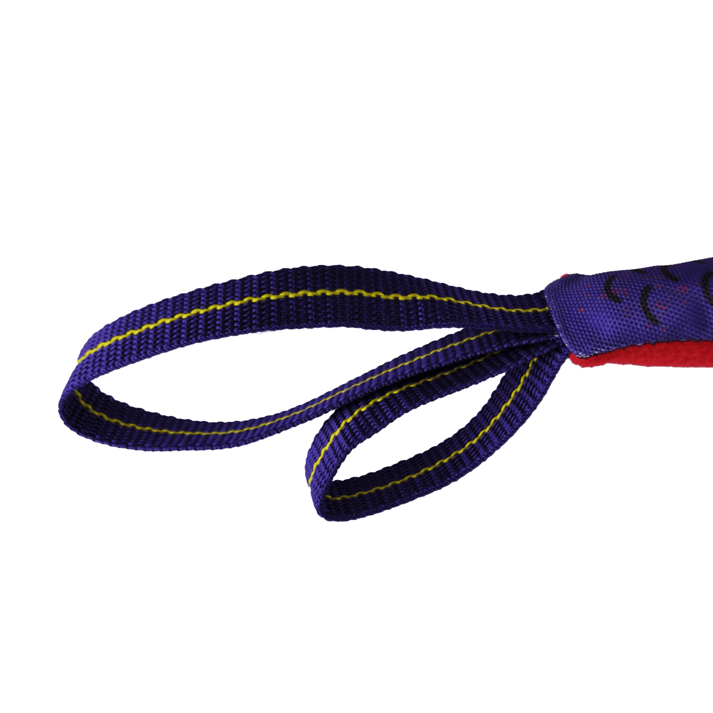 SoFISHTicated Flyin' Fish Dog Toy
