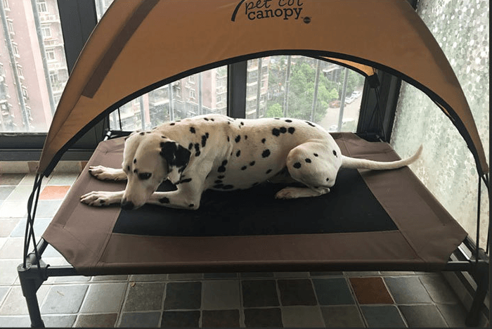 Luxury Breathable Pet Bed With Moisture-Proof Oxford Cloth And