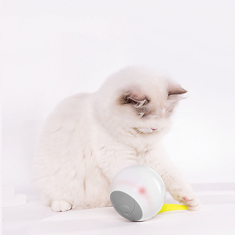 Glowing Auto Playful Kitty Spinning Orb