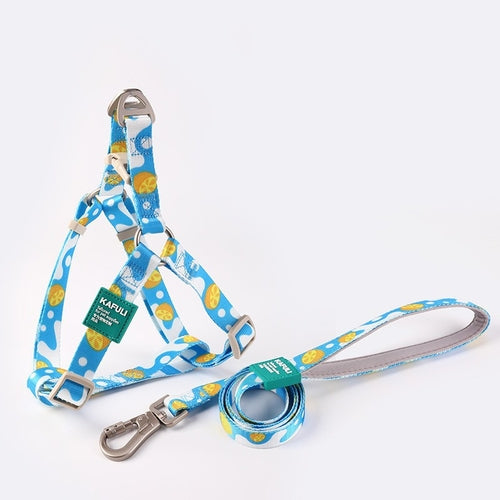 Canine Gear Vest Printing Transport Leash Bundle