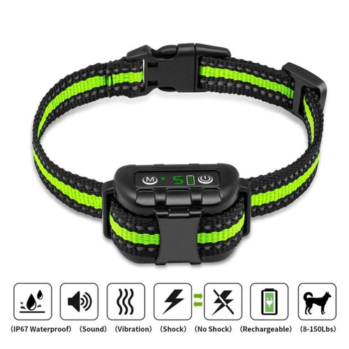 Noisy Pet Neckband