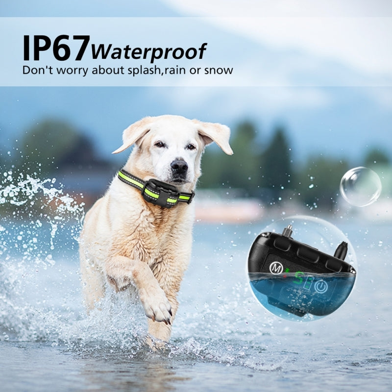 Noisy Pet Neckband