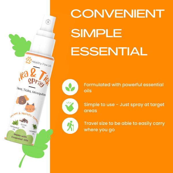 Flea and Tick Shampoo for Pets