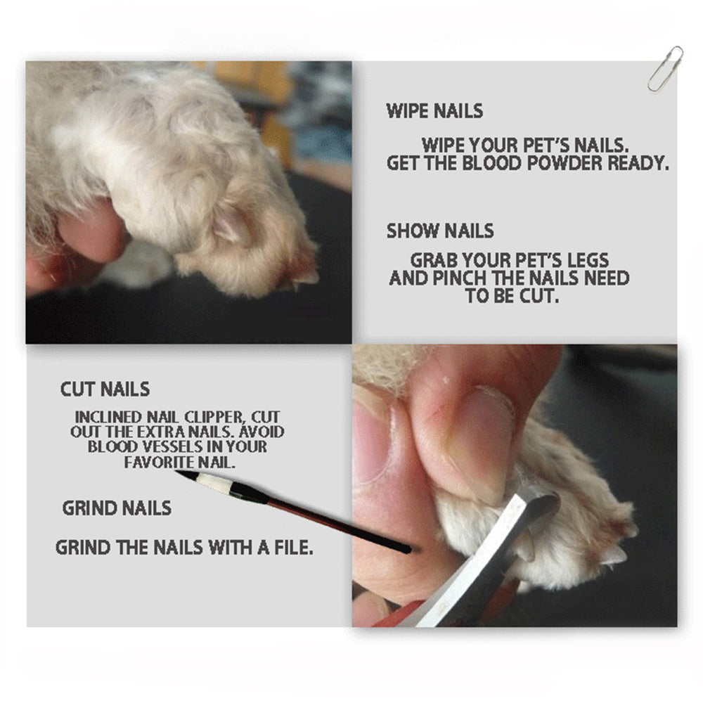 Stainless Steel Pet Nail Clipper Cutter