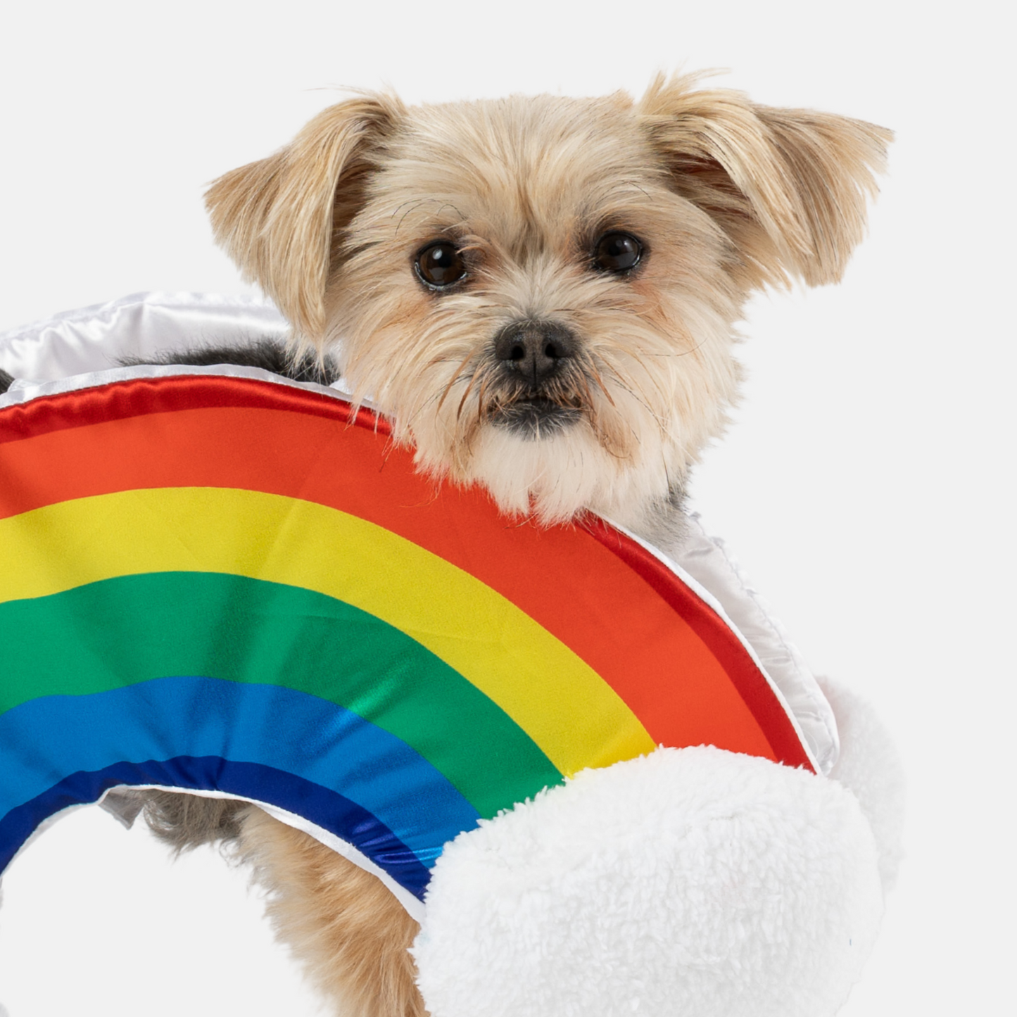 πβοΈ Rainbow Dog Costume β Colorful & Fun Matching Pet Outfit