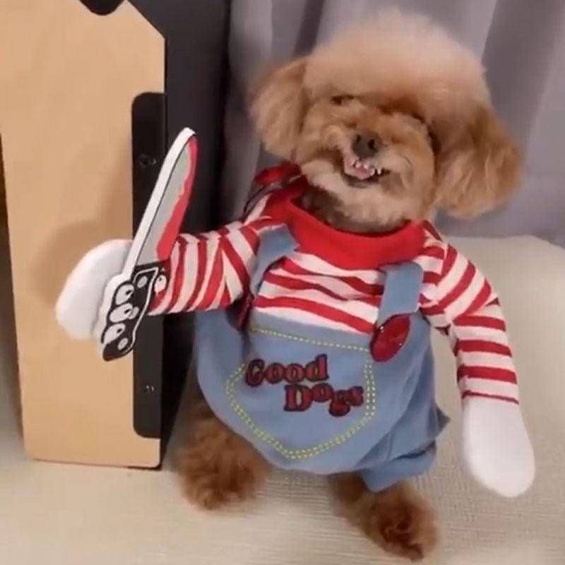 Funny Halloween Pet Costume: Dagger Pet Changing Clothes