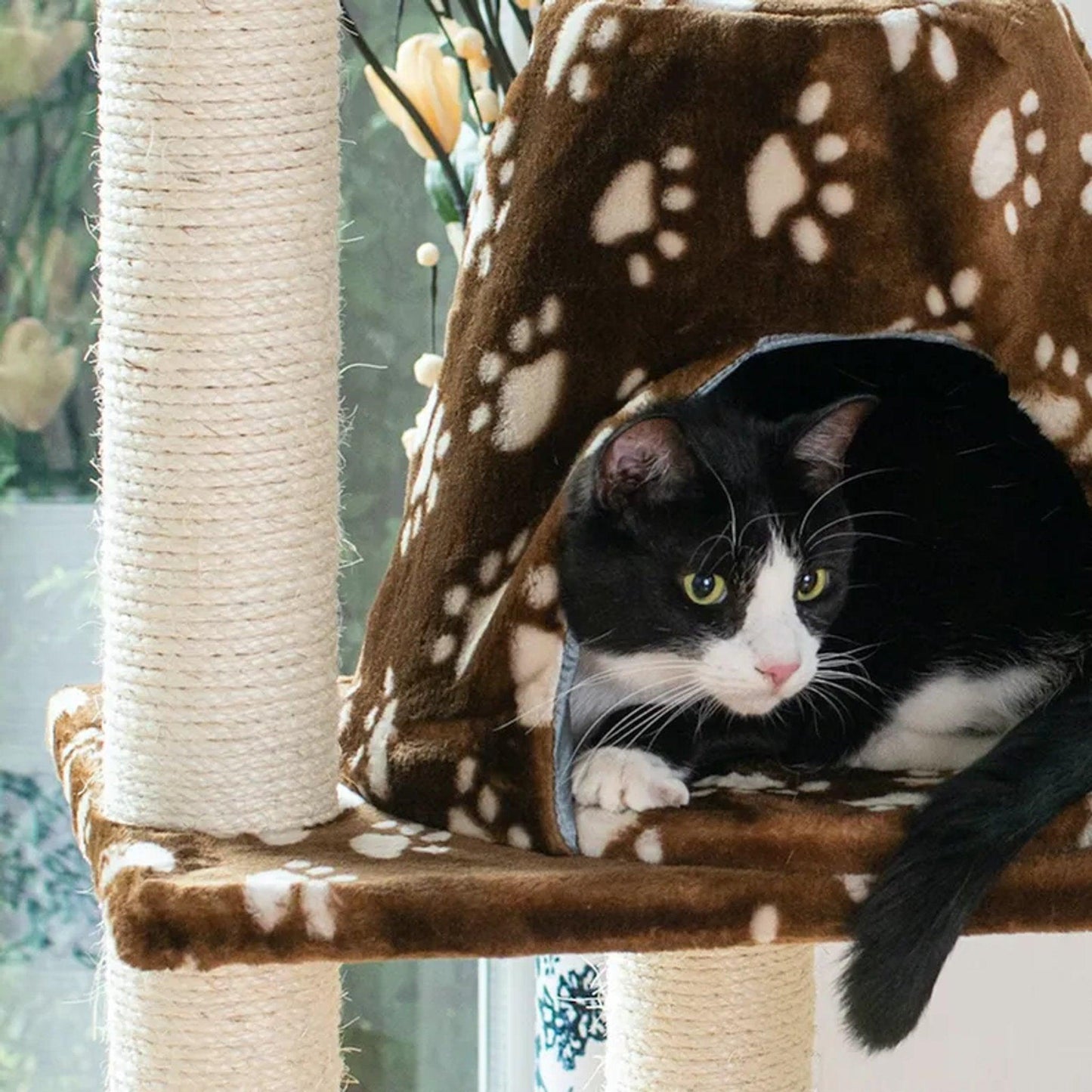 Armarkat A6601 Classic Cat Tree with Hammock Bed and Play Features