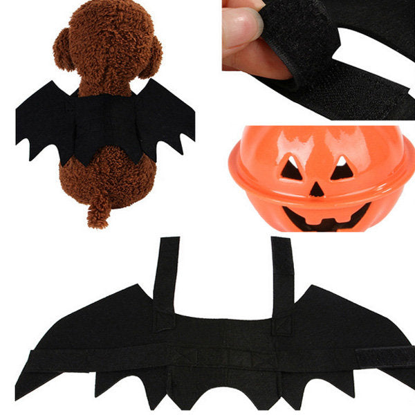 Bat Wings Cat Costume VEASOON