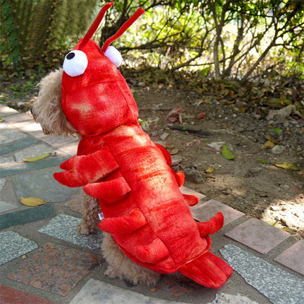 Lobster Pet Costume