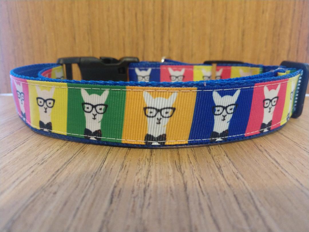 Leash/ Large/ Hipster Llamas