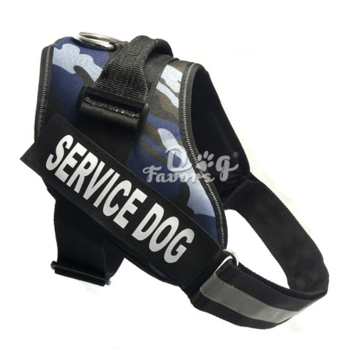 Scientific Comfort Dog Chest Strap: The Ultimate Solution For Health
