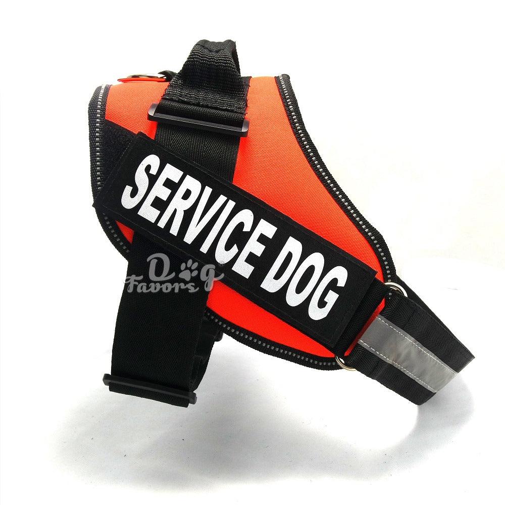 Scientific Comfort Dog Chest Strap: The Ultimate Solution For Health