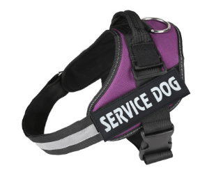 Scientific Comfort Dog Chest Strap: The Ultimate Solution For Health