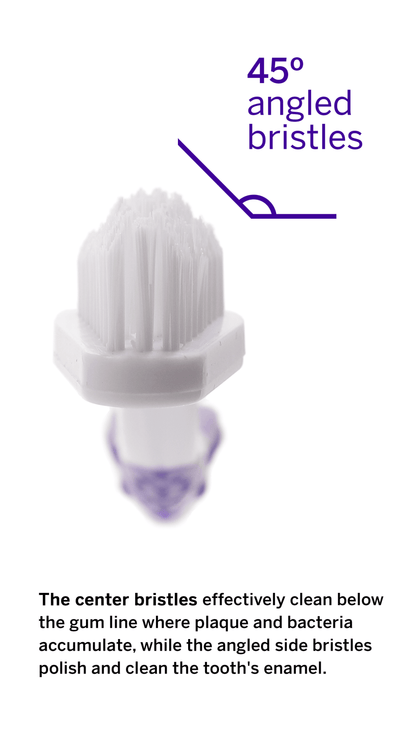 Petsmile Professional Pet Toothbrush with 45-Degree Dual-Ended Design