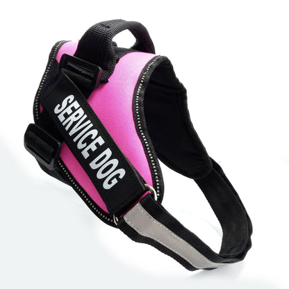 Scientific Comfort Dog Chest Strap: The Ultimate Solution For Health