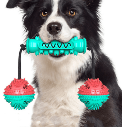 Pet Dental Delight: 360° Molar Bumps And Teeth Cleaning Toy