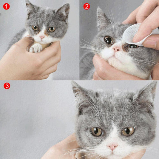 Radiantpaws Tear Stain Eliminator: Pet Eye Grooming Wipes For Dogs And
