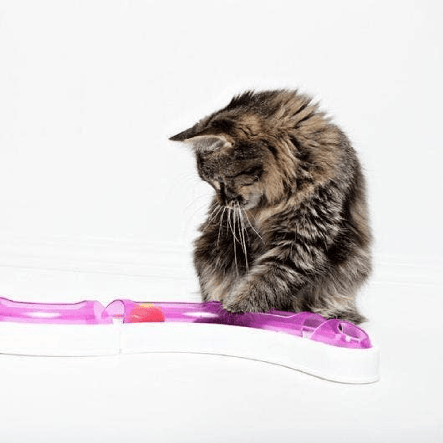Interactive Cat Ball Track Game with Customisable Patterns