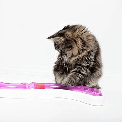 Interactive Cat Ball Track Game with Customisable Patterns