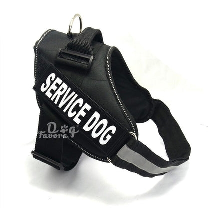 Scientific Comfort Dog Chest Strap: The Ultimate Solution For Health