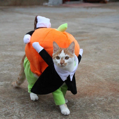 Spooky Pumpkin Pooch Costume