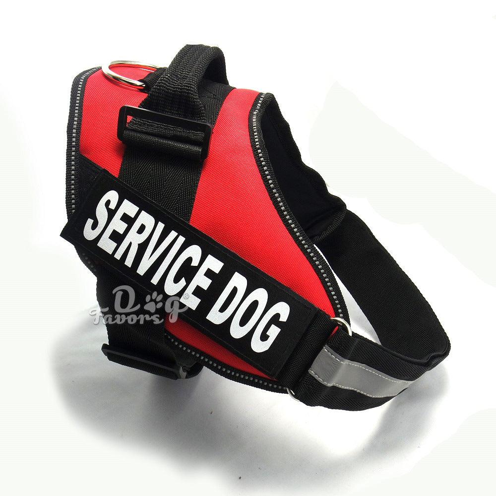Scientific Comfort Dog Chest Strap: The Ultimate Solution For Health