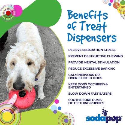 SP Life Ring Durable Rubber Chew Toy and Treat Dispenser for Dogs