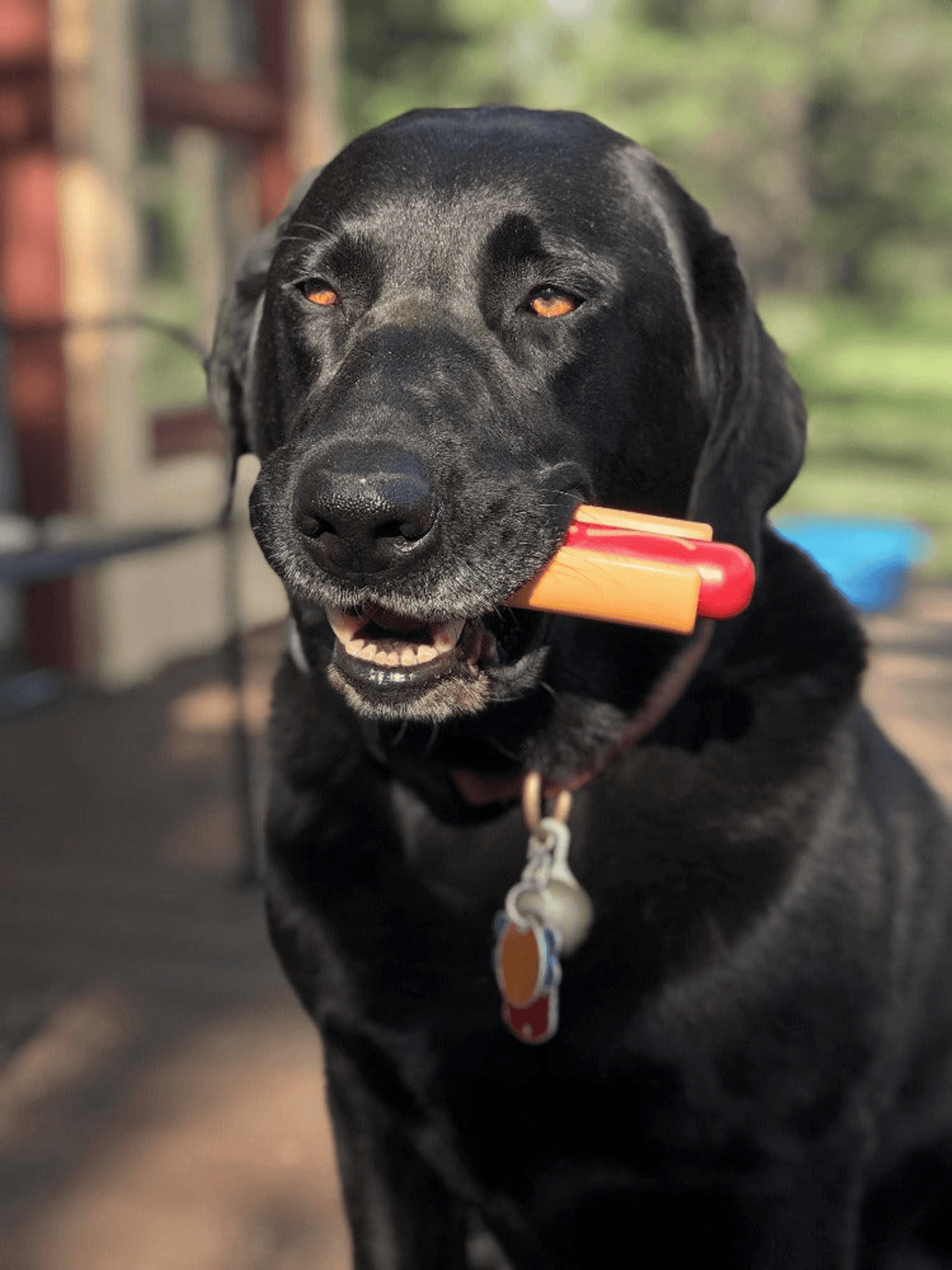 SP Hot Dog Ultra-Durable Chew Toy for Aggressive Chewers