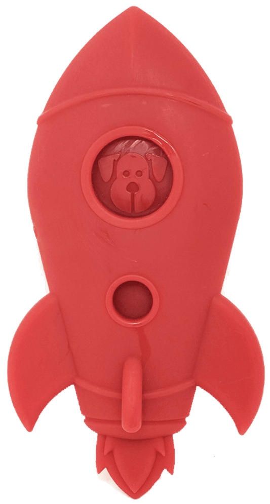 Spotnik Ultra-Durable Nylon Chew Toy for Aggressive Dogs