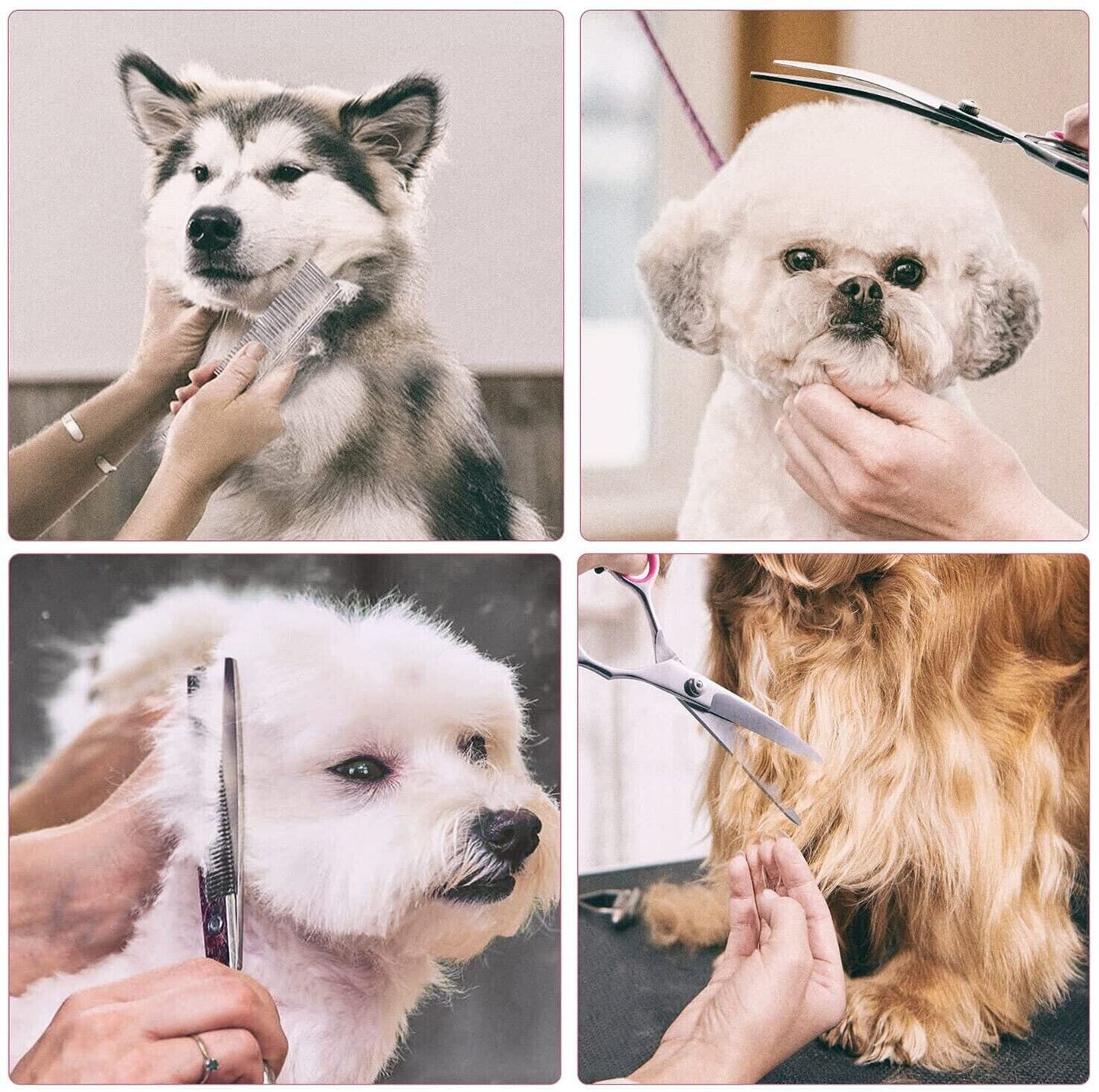 Pet Dog Grooming Scissors Stainless Straight Curved Thinning Shears