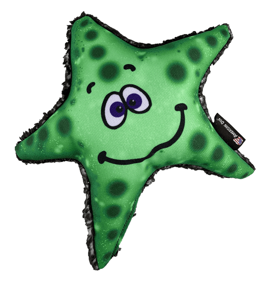 Stanley Starfish Floating Dog Toy - Small & Durable Fetch Companion