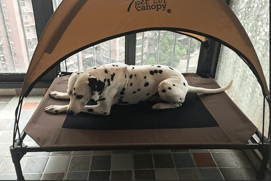 Luxury Breathable Pet Bed With Moisture-Proof Oxford Cloth And