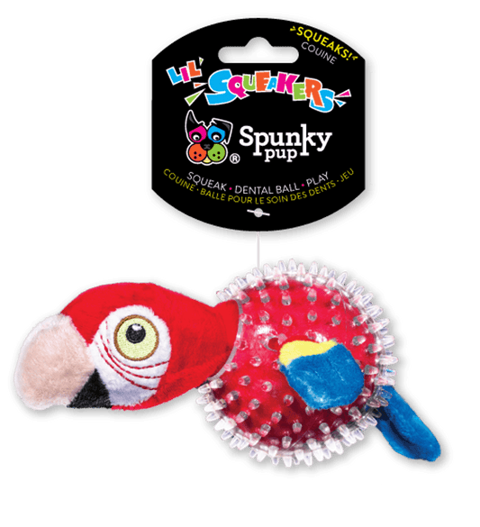 Lil' Squeakers Parrot Spiky Ball for Small Dogs