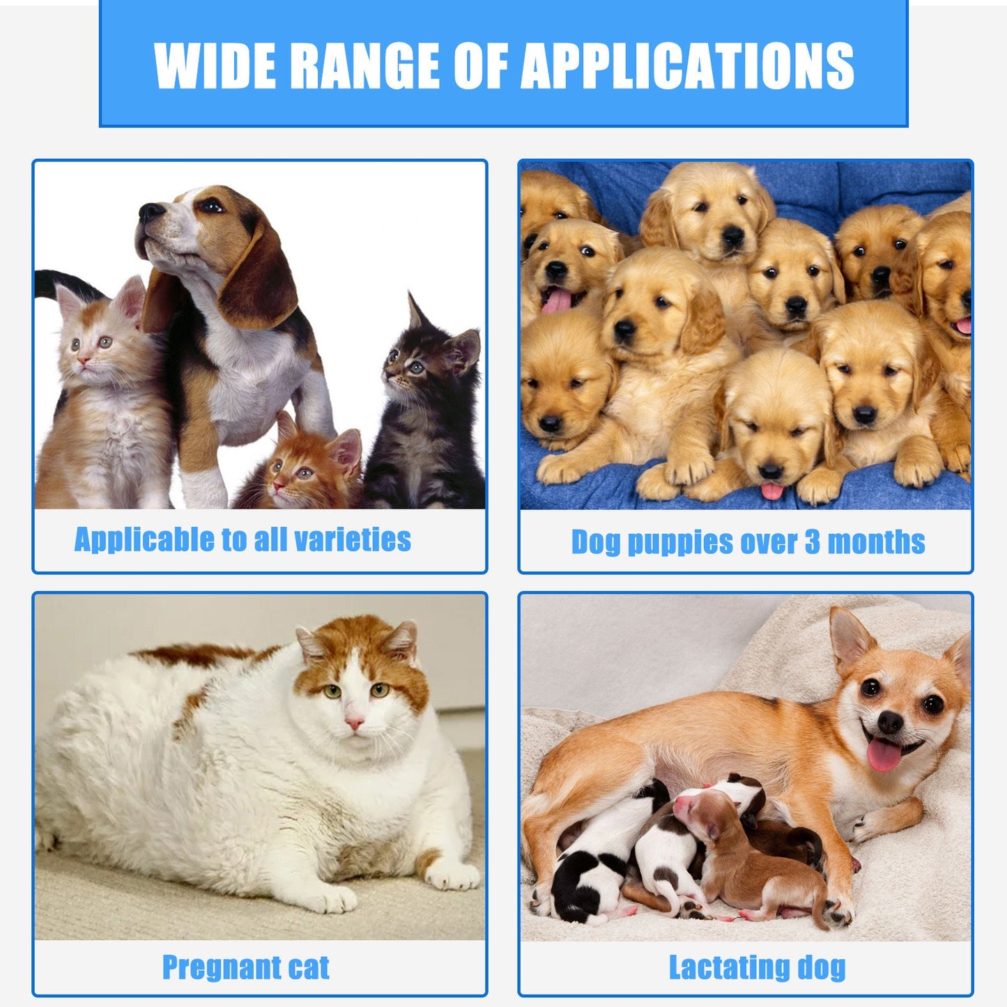 Animal Injury Healing Mist Soothes Pets Skin Issues