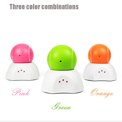 Self-Spinning Laser Pet Plaything