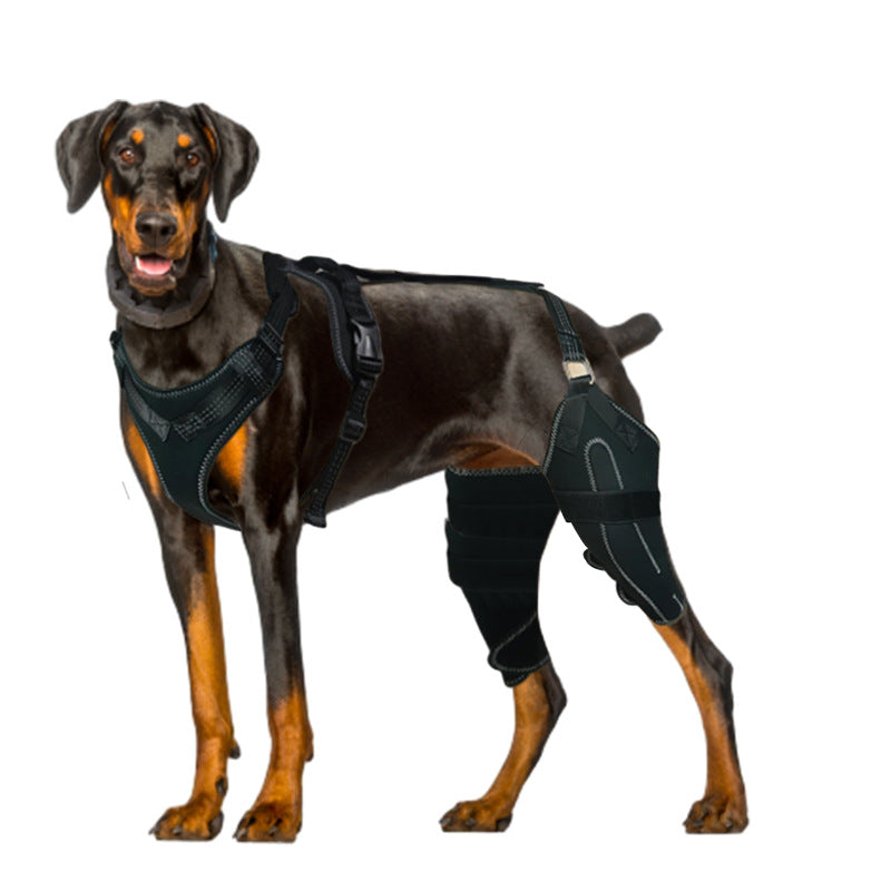 Canine Leg Guard Post-Surgery Support Adjustable Metal Brace Thigh