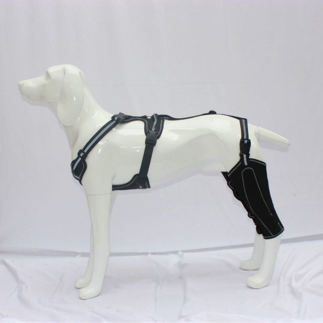 Canine Leg Guard Post-Surgery Support Adjustable Metal Brace Thigh