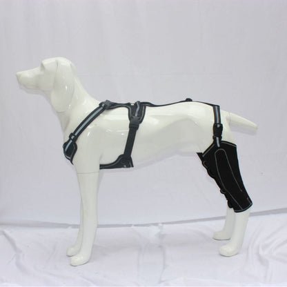 Canine Leg Guard Post-Surgery Support Adjustable Metal Brace Thigh