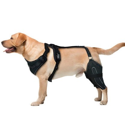 Canine Leg Guard Post-Surgery Support Adjustable Metal Brace Thigh