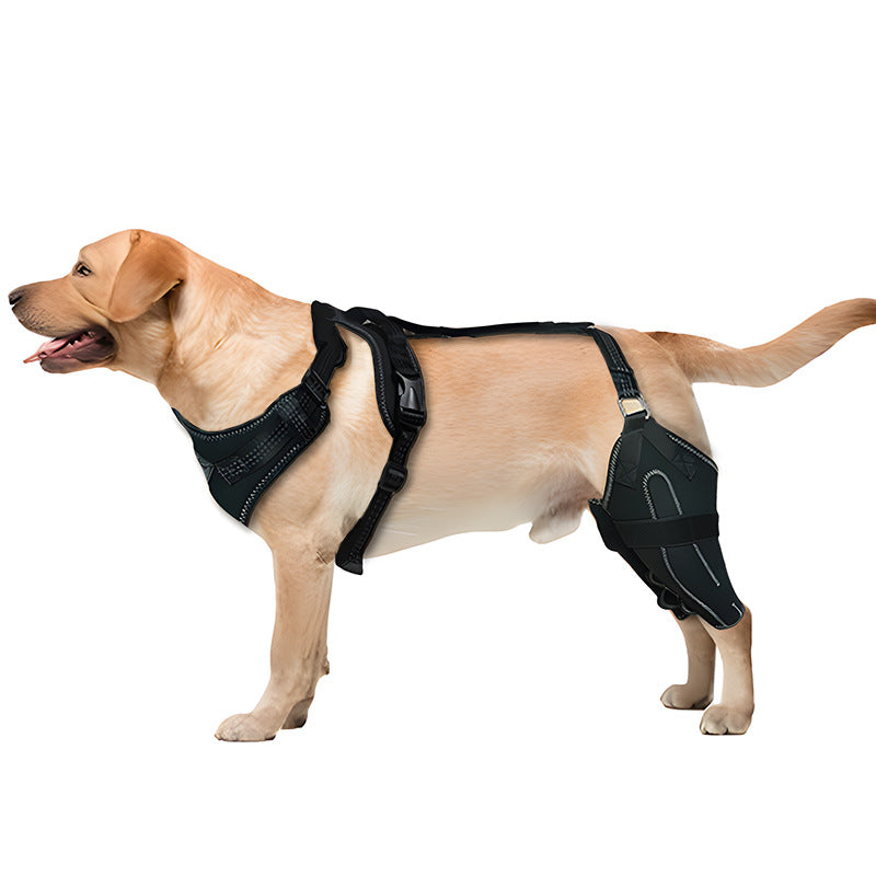 Canine Leg Guard Post-Surgery Support Adjustable Metal Brace Thigh